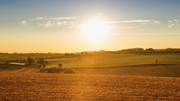 Country field with sunset