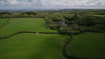 Aerial view of English countryside fields next to a forest