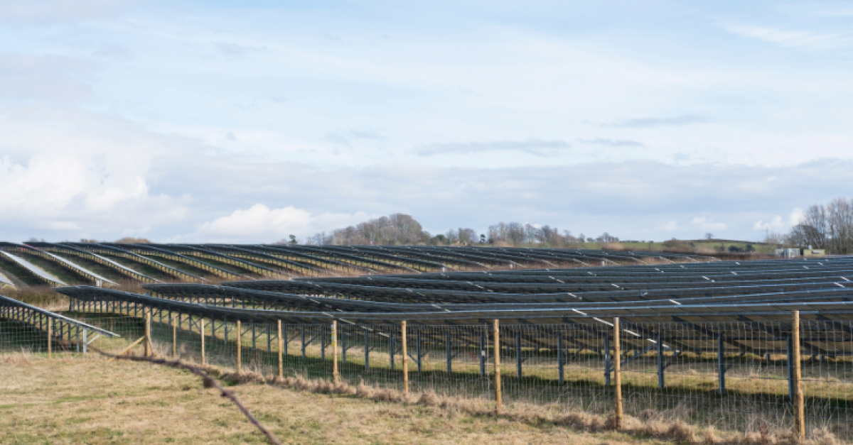 Solar panels in a field