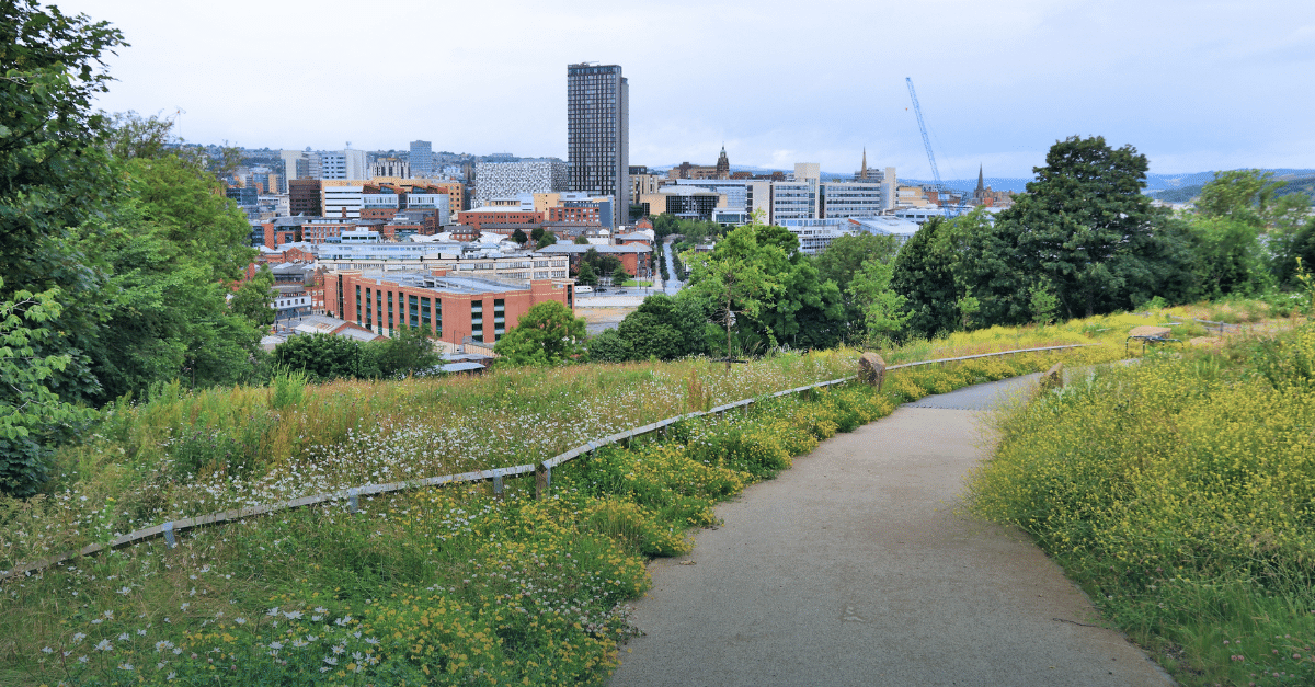 Sheffield sky line