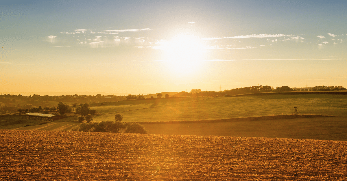 countryside