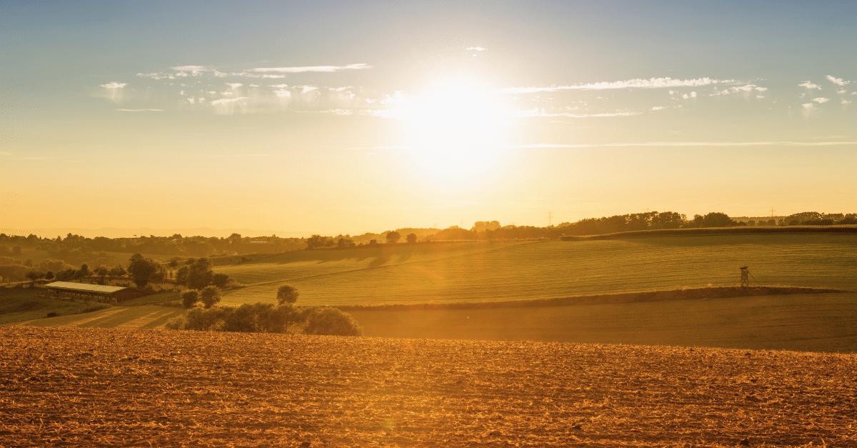 A countryside field in England at sunset