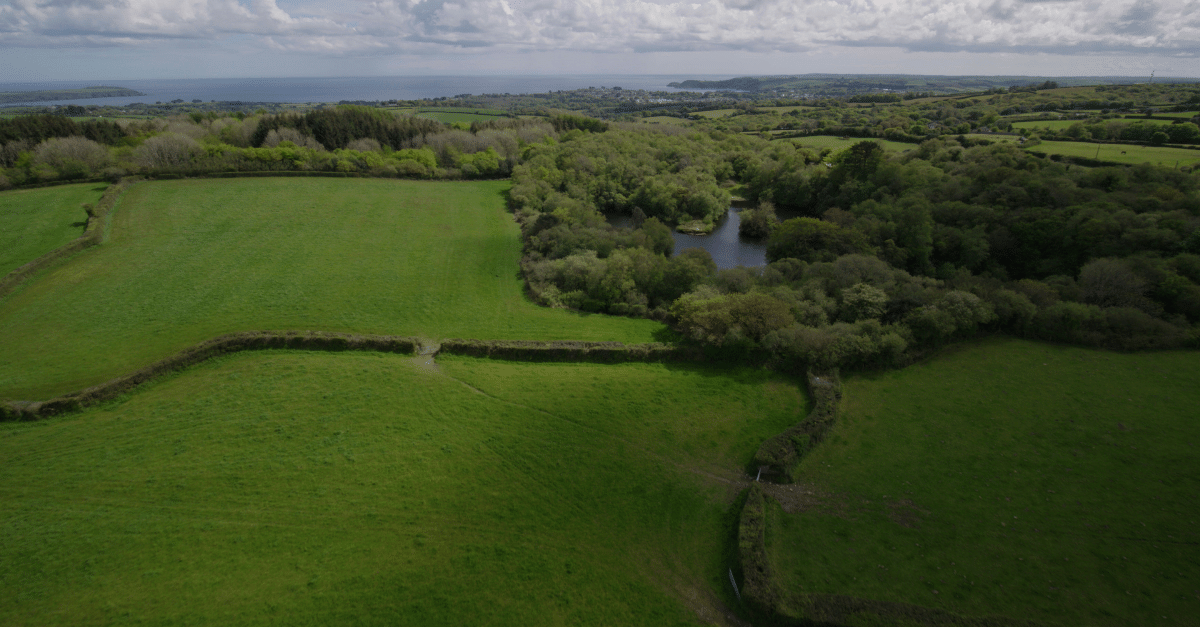 Aerial view of English countryside fields next to a forest