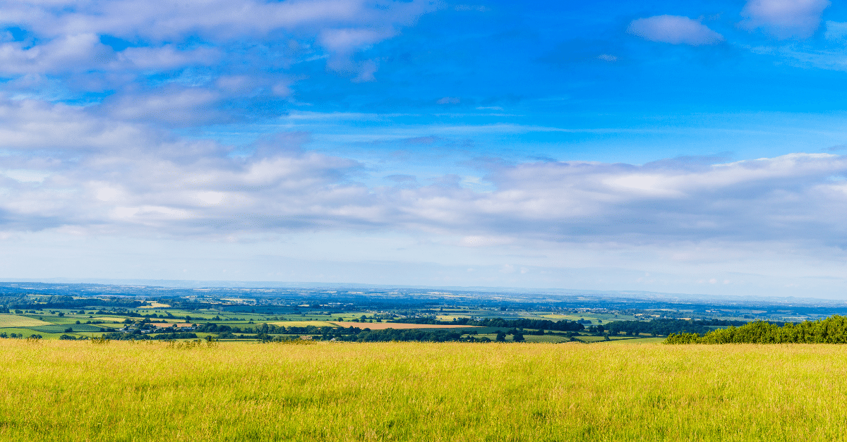South Somerset countryside