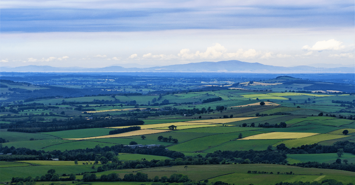 Eden landscape