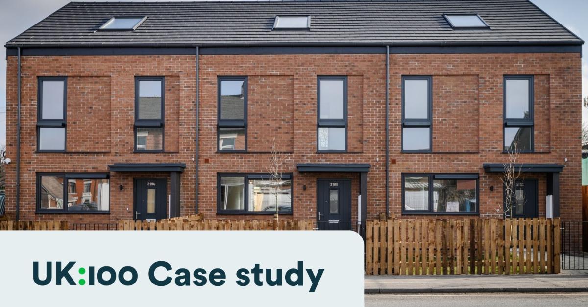 A row of new homes in the McKenzie Arms scheme